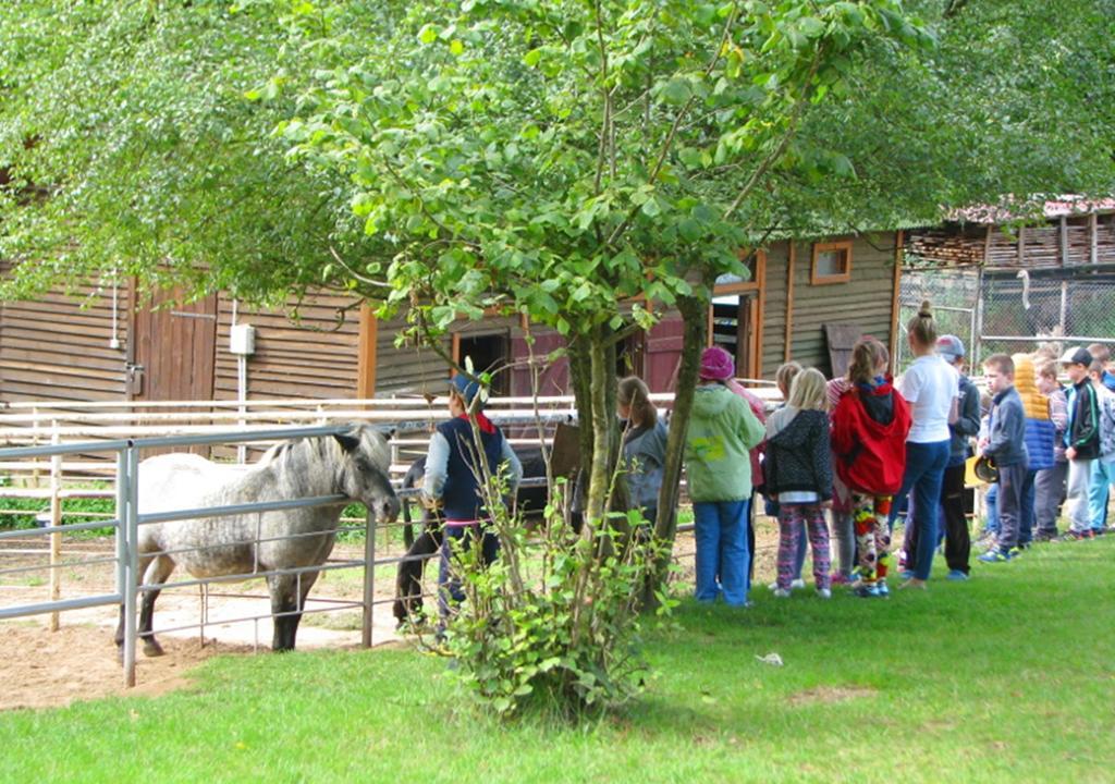 Ziolowa Dolina Allenstein Exterior foto